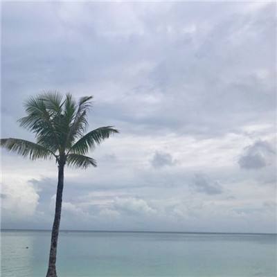青云涅槃传qq登录版下载