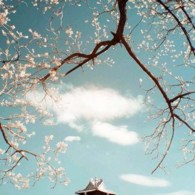小医生大冒险游戏下载